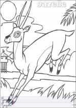 coloriage-gazelle-1